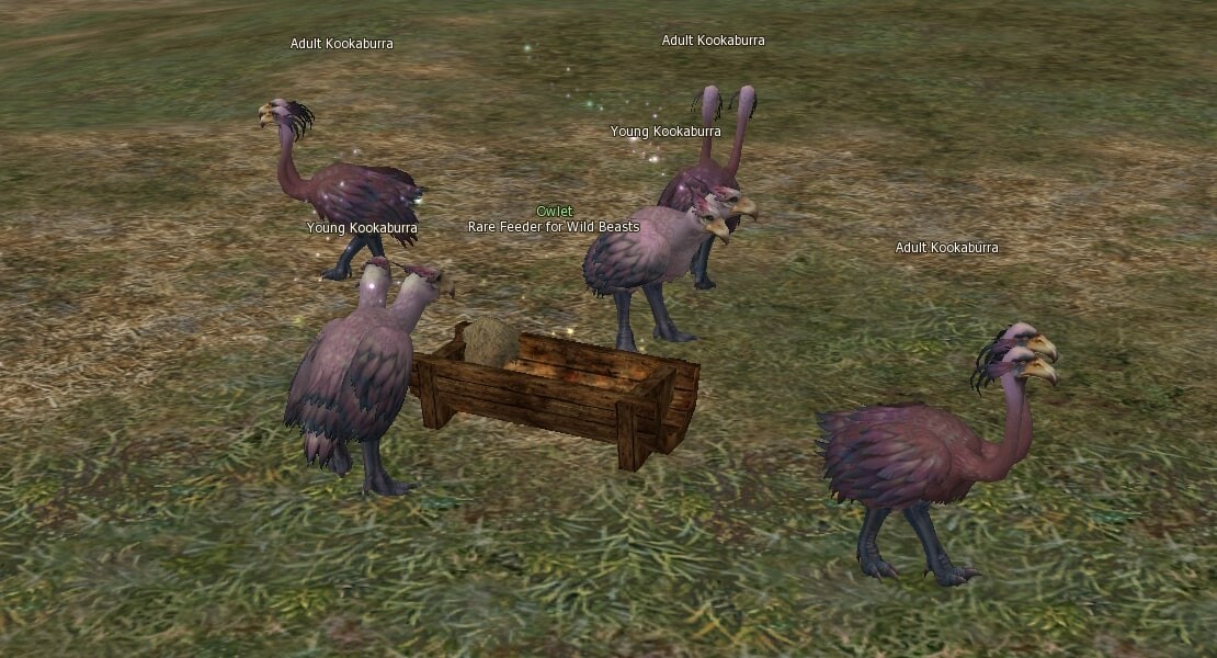 Rare Feeder for Wild Beasts l2